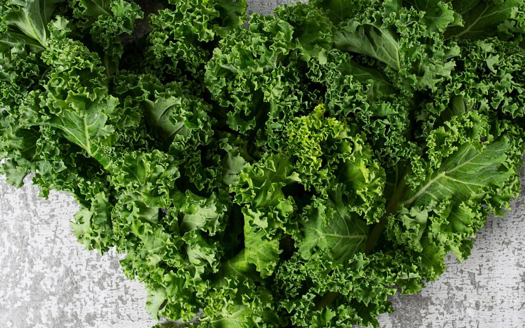 Boerenkool: 7 bewezen voordelen van dit superfood en 3 heerlijke recepten